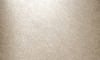 PL100