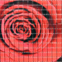 SSGF 15x15