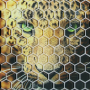 SSGF 29x29 шестигранник
